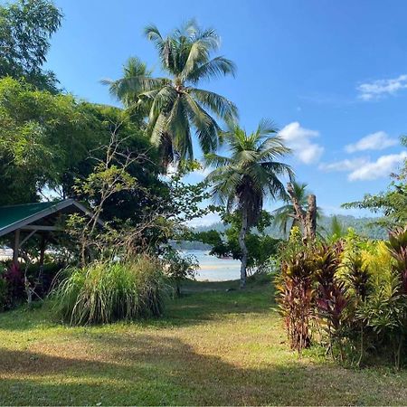 Port Barton - Paradiso Azul Campsite Beachfront With Internet San Vicente  Extérieur photo
