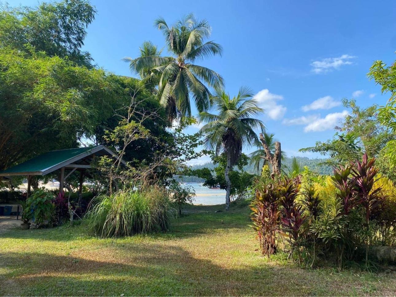 Port Barton - Paradiso Azul Campsite Beachfront With Internet San Vicente  Extérieur photo