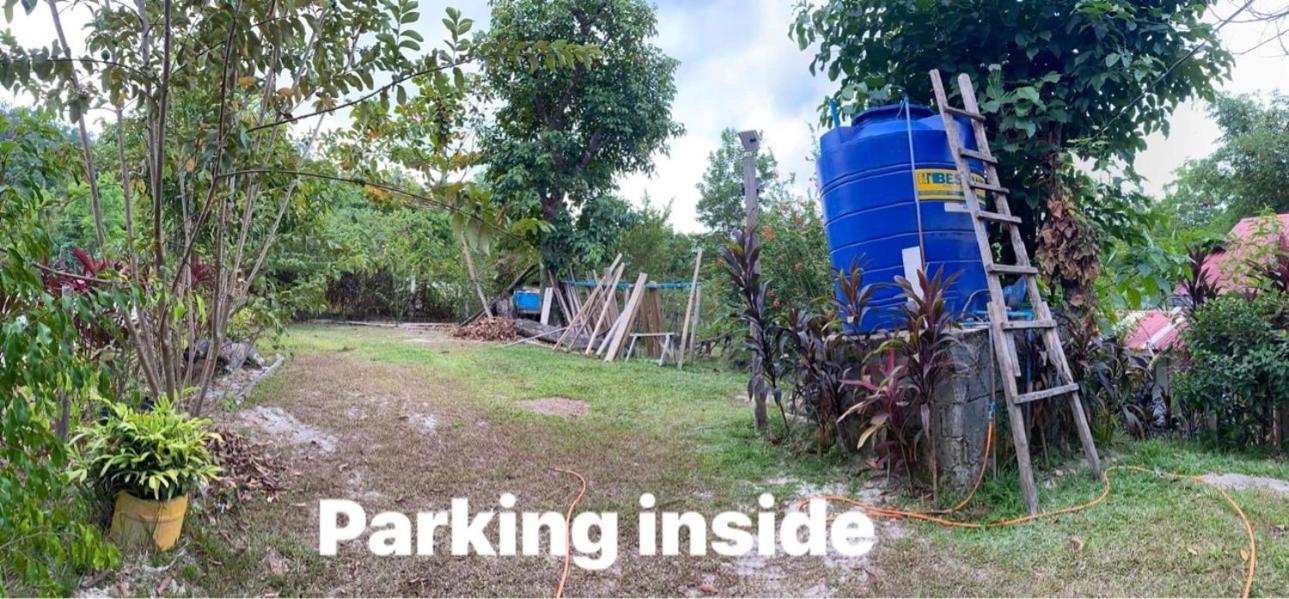 Port Barton - Paradiso Azul Campsite Beachfront With Internet San Vicente  Extérieur photo