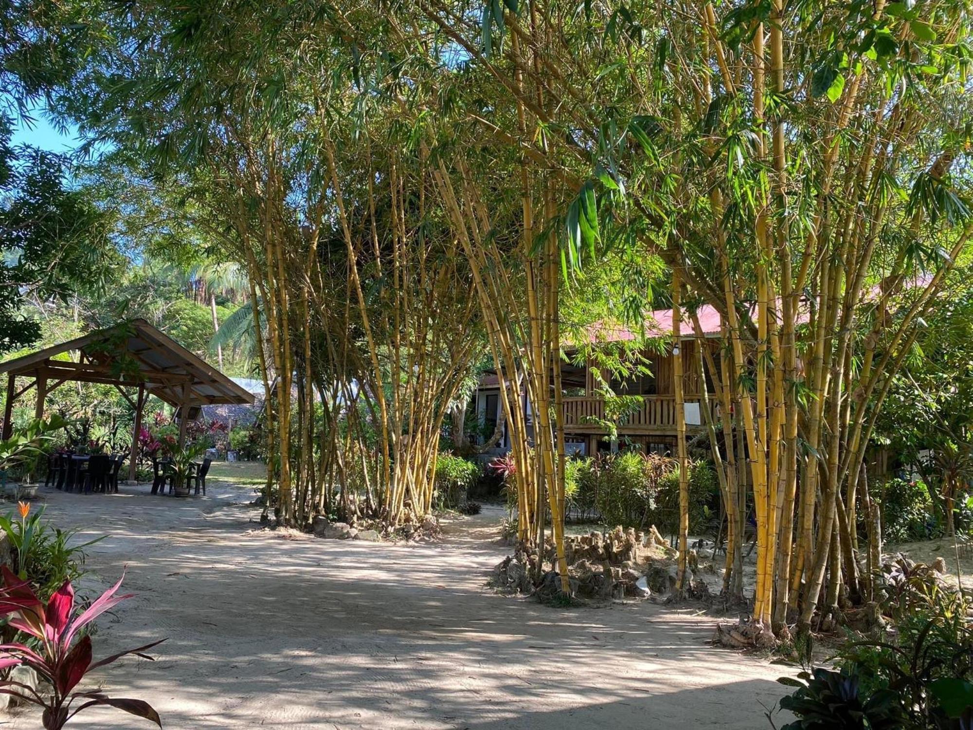 Port Barton - Paradiso Azul Campsite Beachfront With Internet San Vicente  Extérieur photo