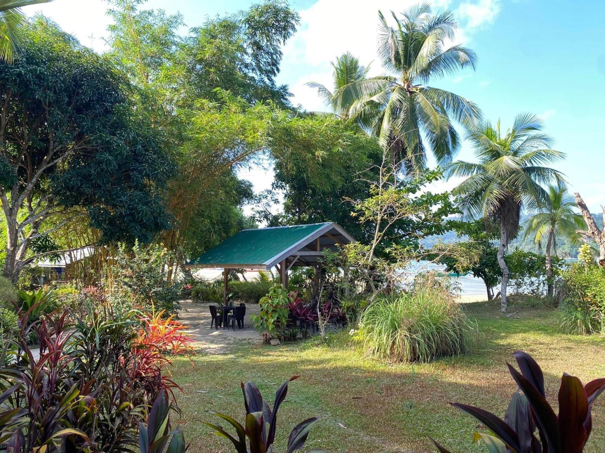 Port Barton - Paradiso Azul Campsite Beachfront With Internet San Vicente  Extérieur photo